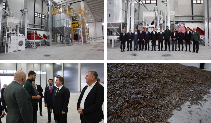 Erzincan’da Günde 100 Ton Ayçekirdeği İşlenecek
