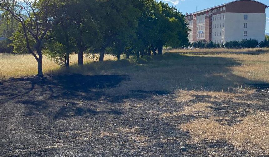 Erzincan’da Anız Yangını: İtfaiyenin Hızlı Müdahalesi Büyümesini Önledi