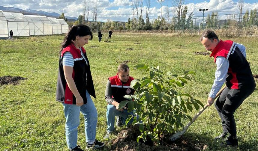 Çayırlı’da 400 Fidan Toprakla Buluştu