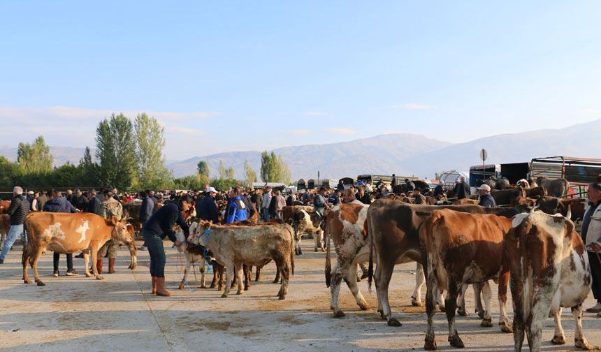 Erzincan Hayvan Pazarında Yetiştiricilere Şap Aşısı Uyarısı
